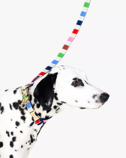 Multi