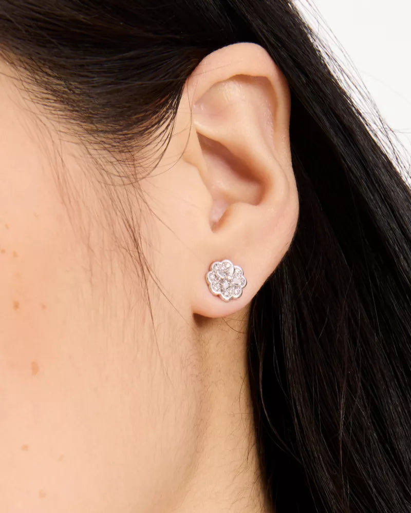 Clear/Silver