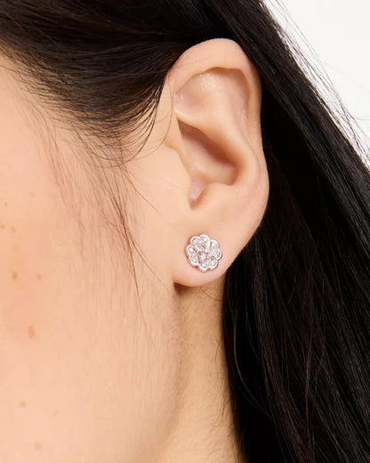 Clear/Silver