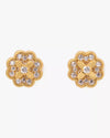Clear/Gold
