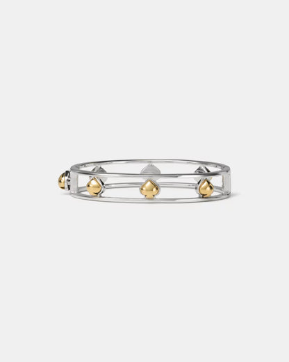 Silver/Gold