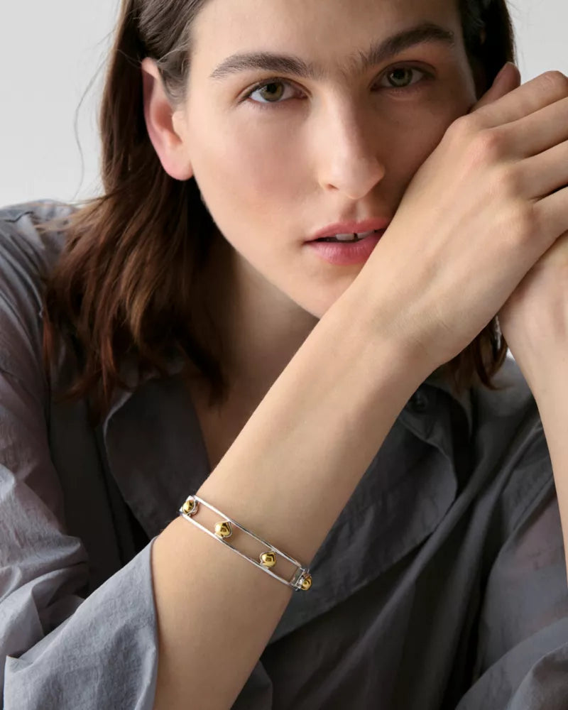 Silver/Gold