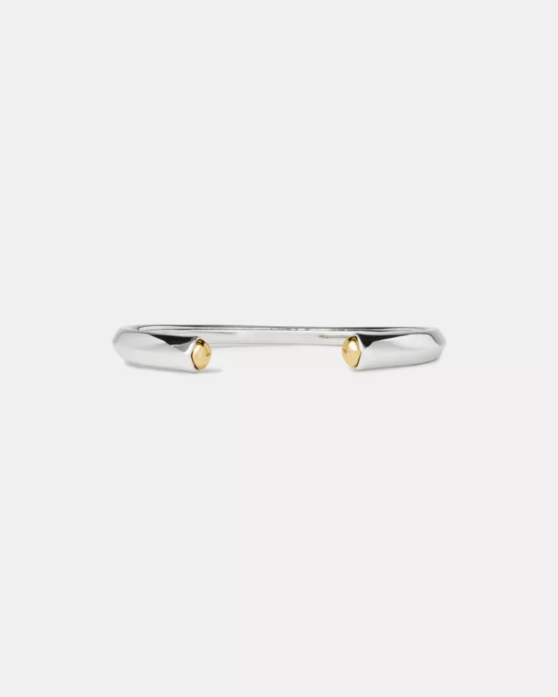 Silver/Gold
