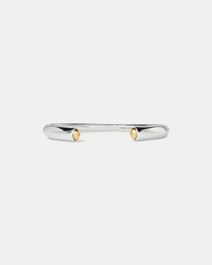 Silver/Gold
