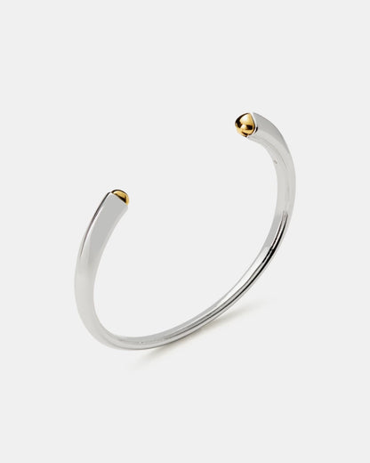 Silver/Gold