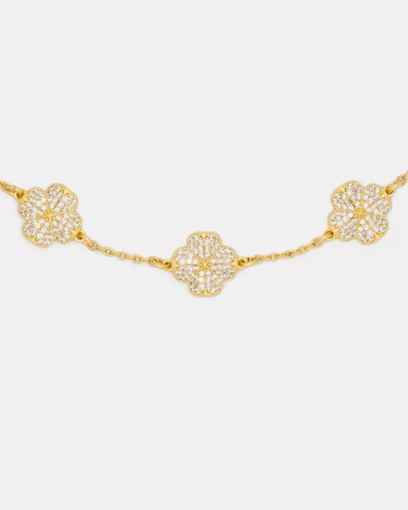 Clear/Gold