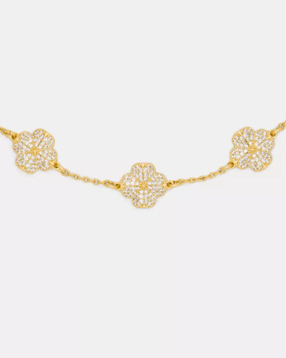 Clear/Gold