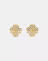 Clear/Gold