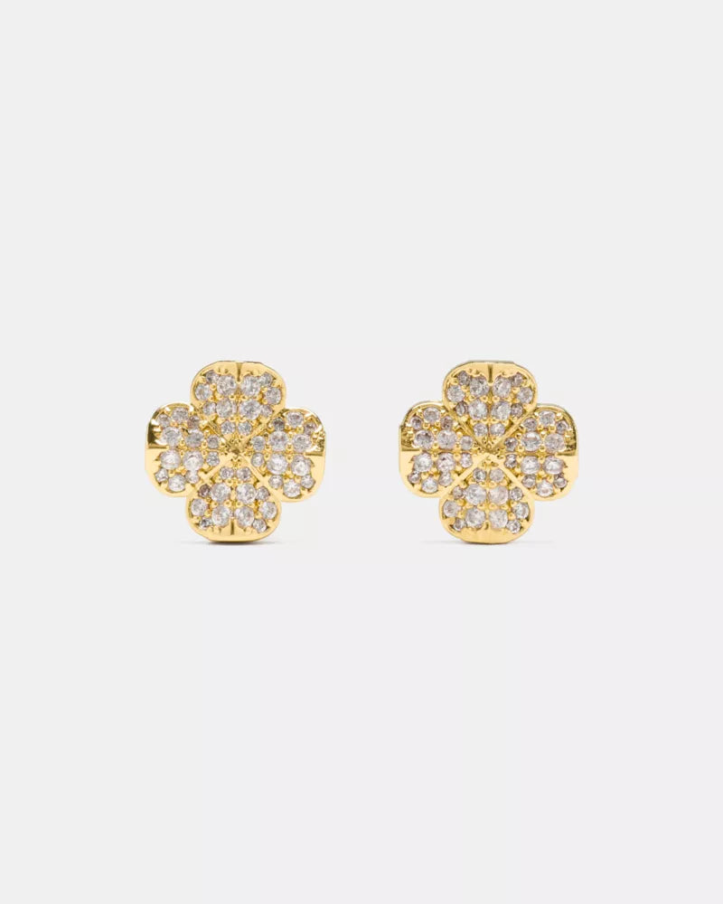 Clear/Gold