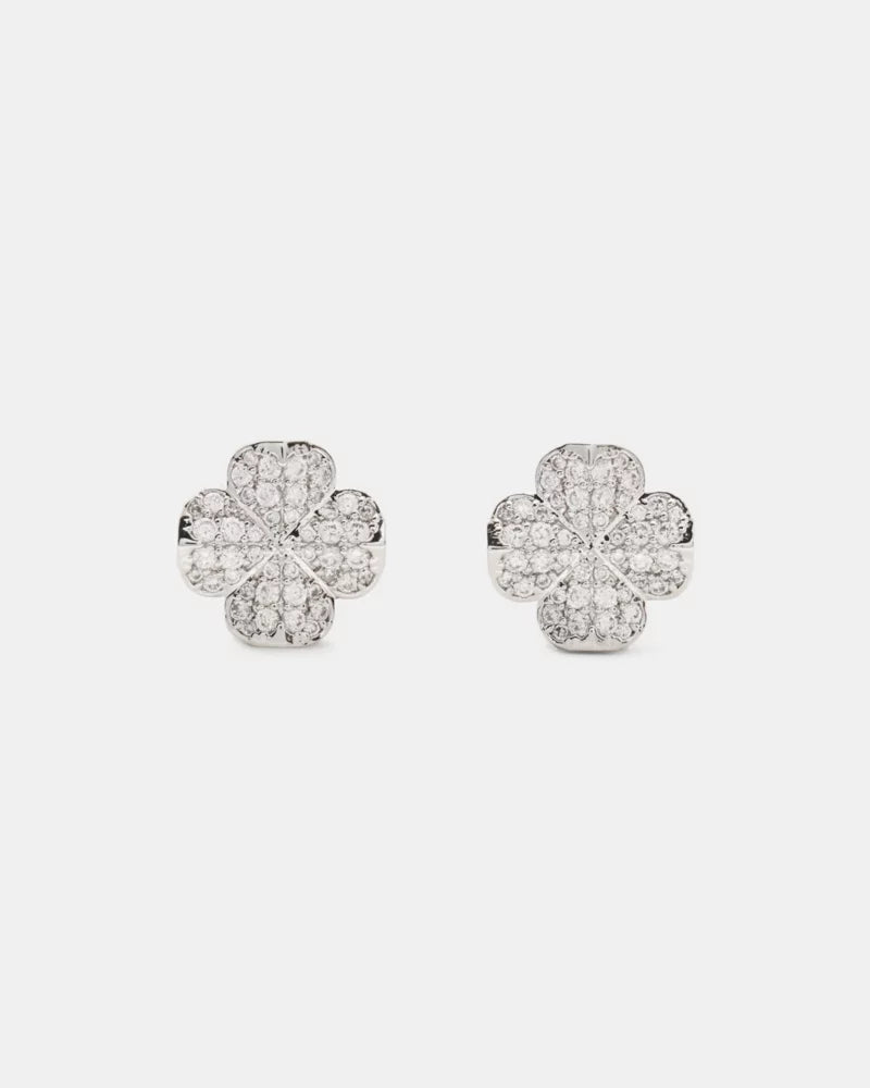 Clear/Silver