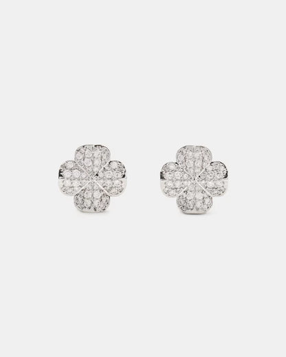 Clear/Silver