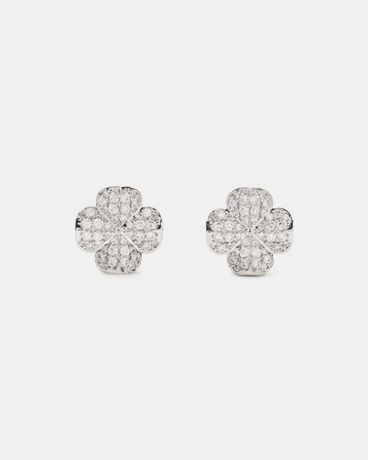 Clear/Silver