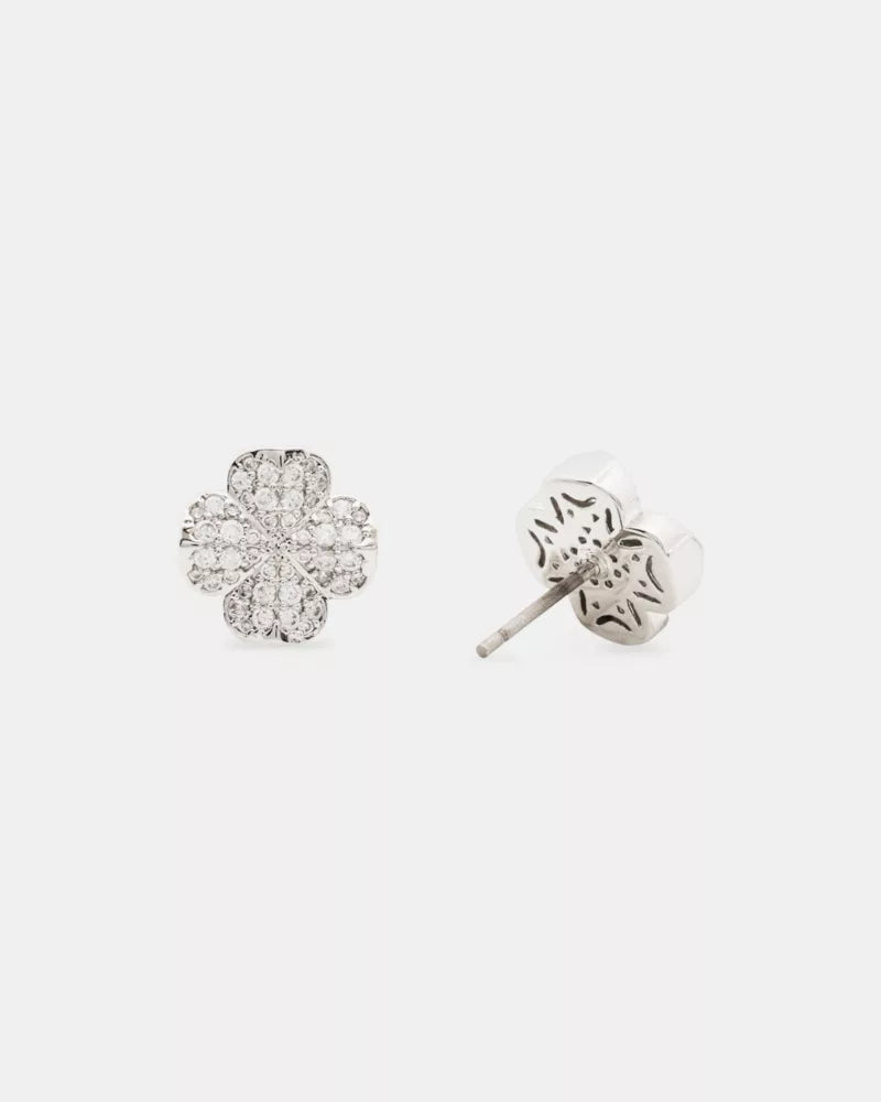 Clear/Silver