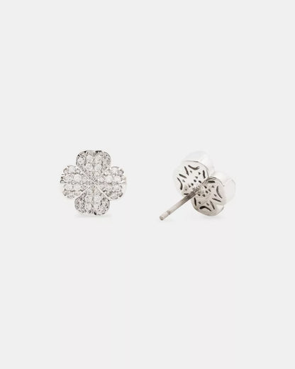 Clear/Silver