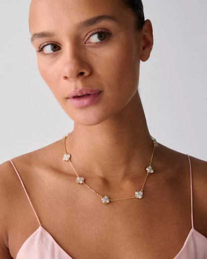 Clear/Gold