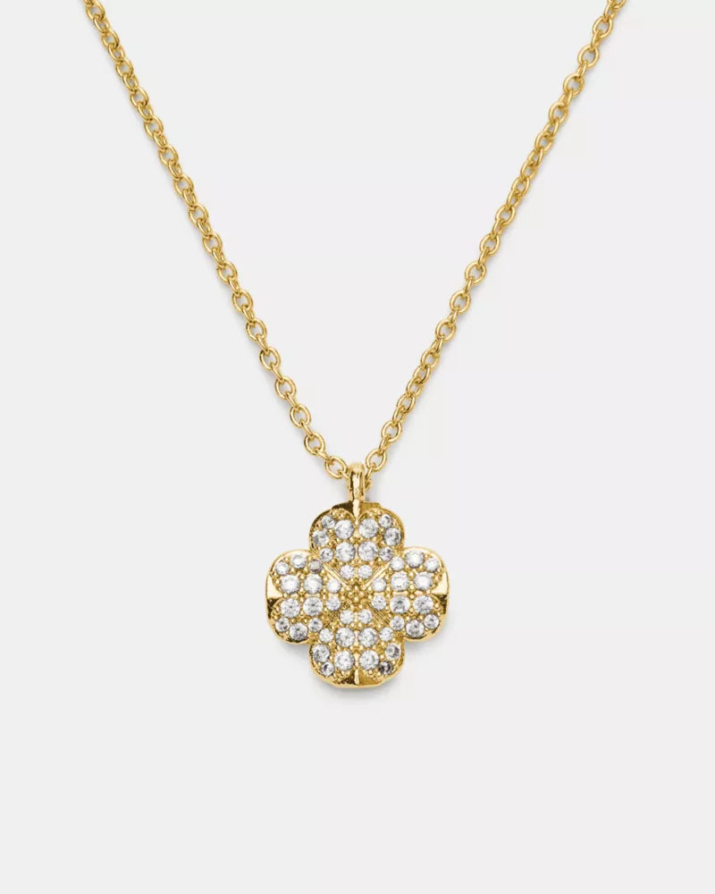 Clear/Gold