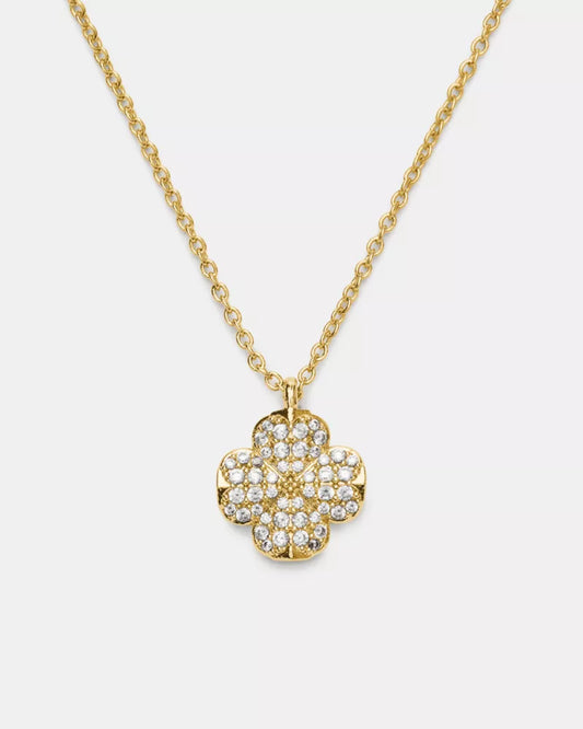 Clear/Gold