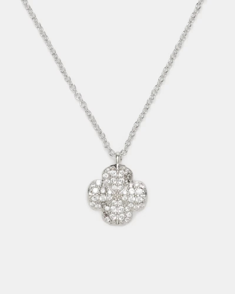 Clear/Silver