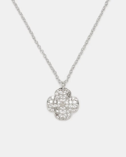 Clear/Silver