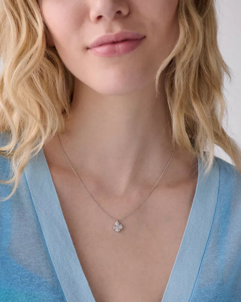 Clear/Silver