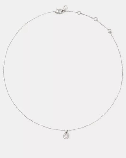 Clear/Silver