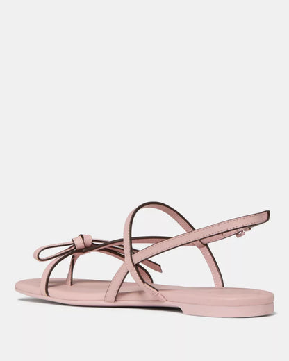 Tutu Pink