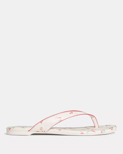 Cream Multi