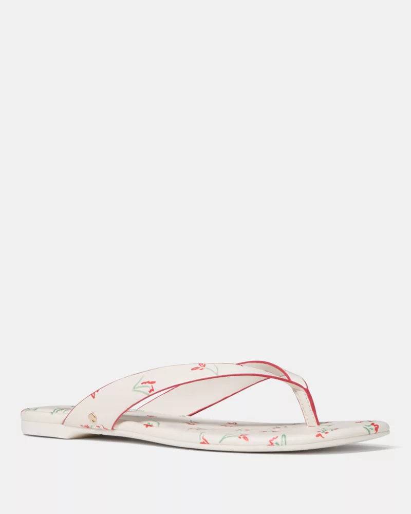 Cream Multi