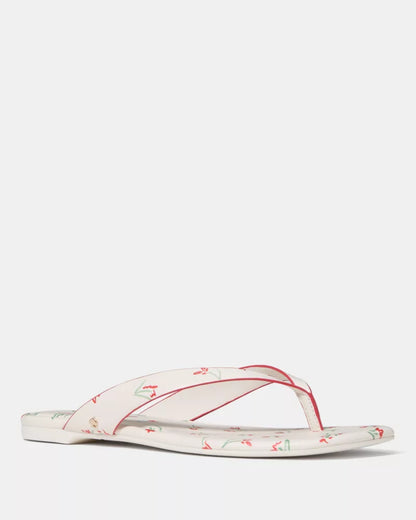 Cream Multi