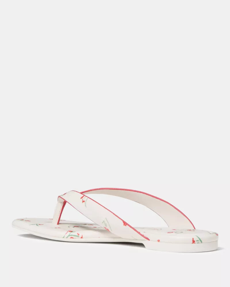Cream Multi