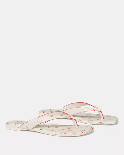 Cream Multi