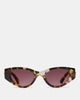 Brown Havana