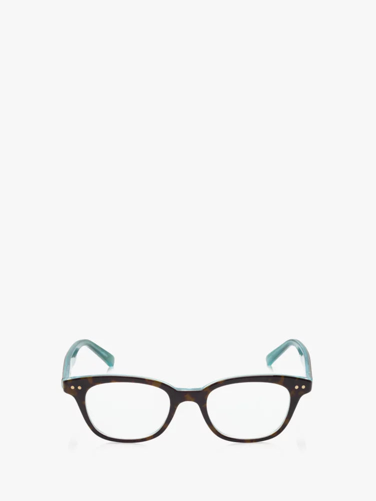 Aqua Tortoise