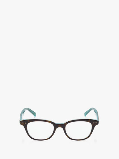 Aqua Tortoise