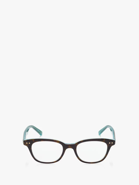 Aqua Tortoise