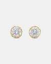Clear/Gold